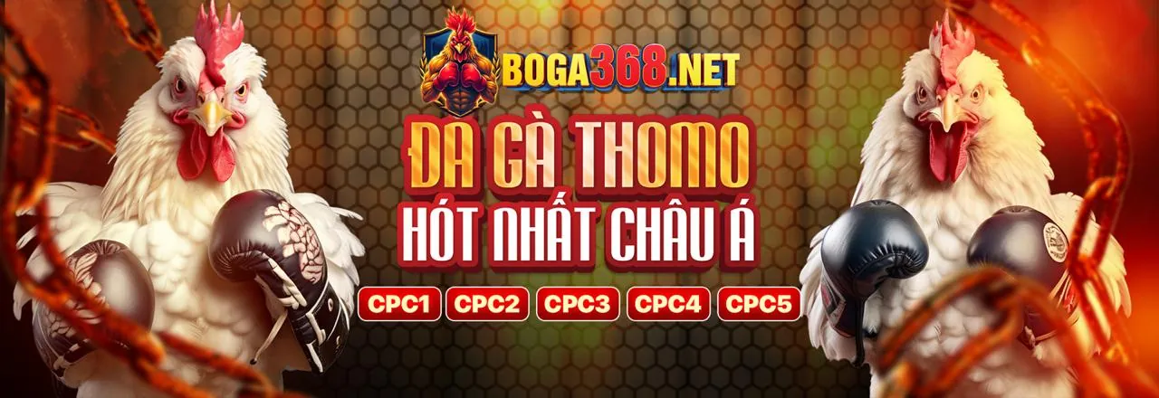 Đối tác 88clb bet